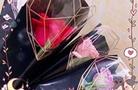 春风十里  · “原”来有你
